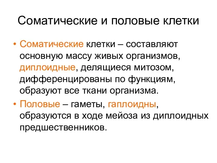 Соматические и половые клетки Соматические клетки – составляют основную массу живых организмов, диплоидные,