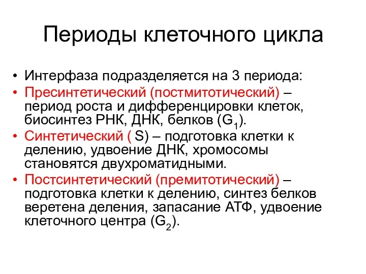 Периоды клеточного цикла Интерфаза подразделяется на 3 периода: Пресинтетический (постмитотический)