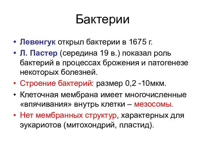 Бактерии Левенгук открыл бактерии в 1675 г. Л. Пастер (середина 19 в.) показал