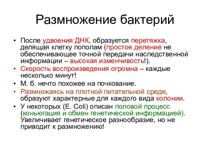 Размножение бактерий После удвоения ДНК, образуется перетяжка, делящая клетку пополам (простое деление не