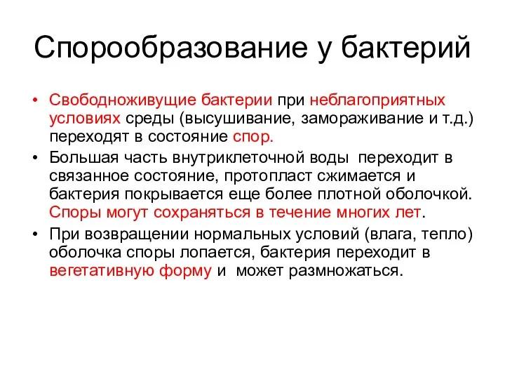 Спорообразование у бактерий Свободноживущие бактерии при неблагоприятных условиях среды (высушивание,