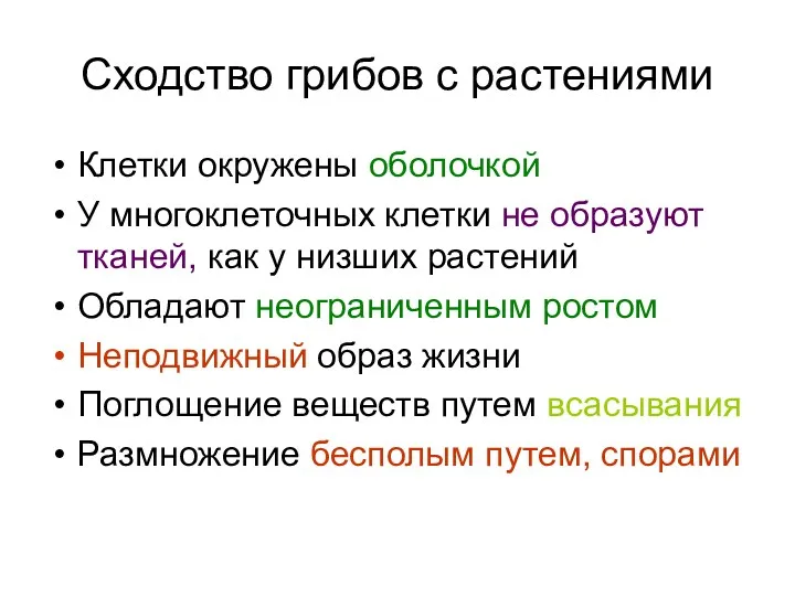 Сходство грибов с растениями Клетки окружены оболочкой У многоклеточных клетки