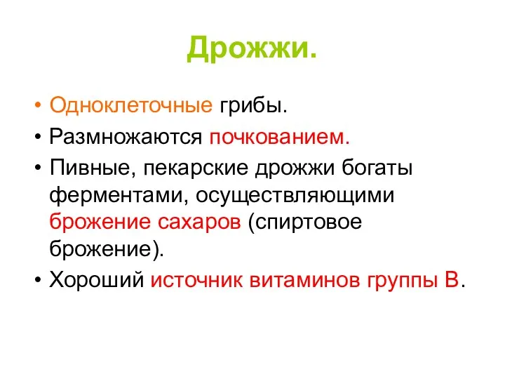 Дрожжи. Одноклеточные грибы. Размножаются почкованием. Пивные, пекарские дрожжи богаты ферментами,