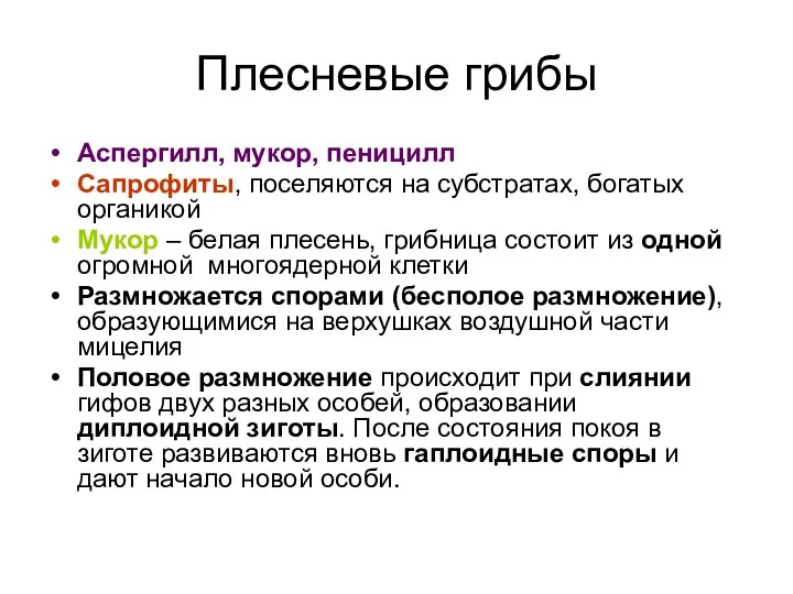 Плесневые грибы Аспергилл, мукор, пеницилл Сапрофиты, поселяются на субстратах, богатых органикой Мукор –