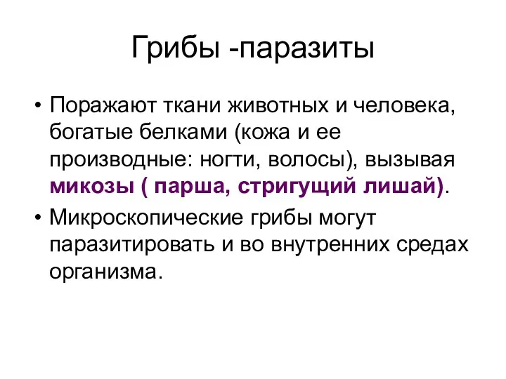 Грибы -паразиты Поражают ткани животных и человека, богатые белками (кожа