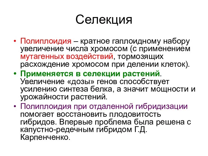 Селекция Полиплоидия – кратное гаплоидному набору увеличение числа хромосом (с применением мутагенных воздействий,