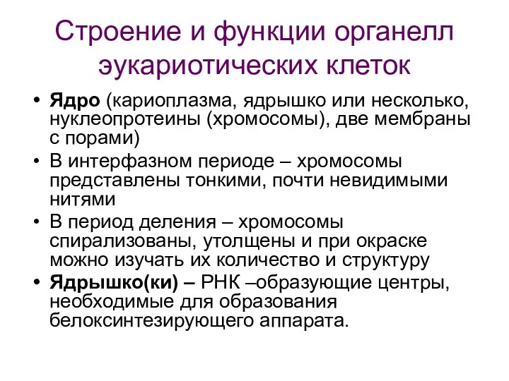 Строение и функции органелл эукариотических клеток Ядро (кариоплазма, ядрышко или несколько, нуклеопротеины (хромосомы),