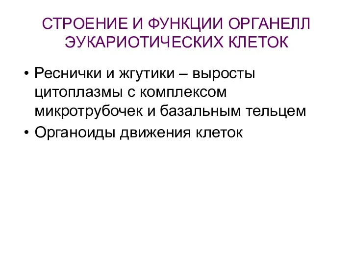 СТРОЕНИЕ И ФУНКЦИИ ОРГАНЕЛЛ ЭУКАРИОТИЧЕСКИХ КЛЕТОК Реснички и жгутики – выросты цитоплазмы с