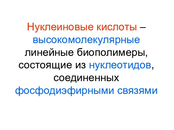 Нуклеиновые кислоты – высокомолекулярные линейные биополимеры, состоящие из нуклеотидов, соединенных фосфодиэфирными связями