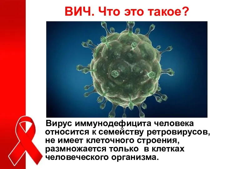 ВИЧ. Что это такое? Вирус иммунодефицита человека относится к семейству ретровирусов, не имеет