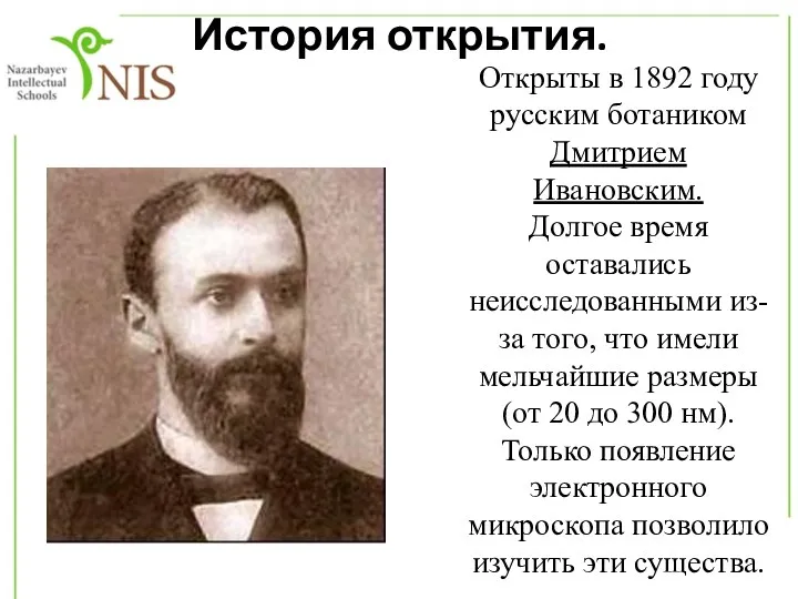 История открытия. Открыты в 1892 году русским ботаником Дмитрием Ивановским.