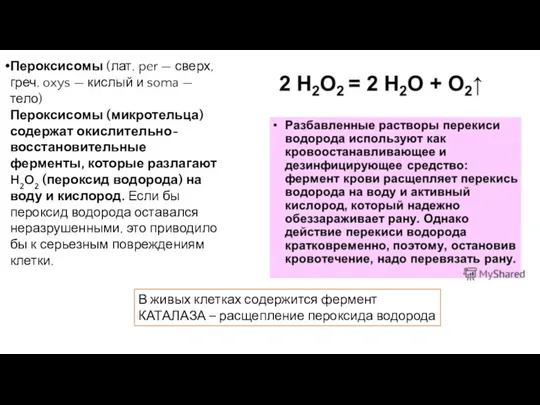 Пероксисомы (лат. per — сверх, греч. oxys — кислый и soma — тело)