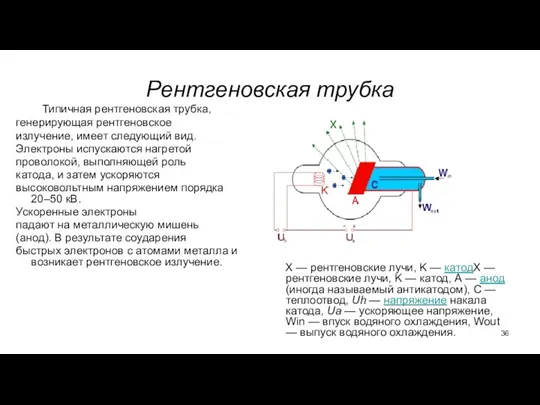 Рентгеновская трубка Типичная рентгеновская трубка, генерирующая рентгеновское излучение, имеет следующий