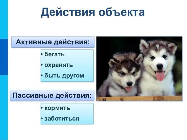 Активные действия: бегать охранять быть другом Пассивные действия: кормить заботиться Действия объекта