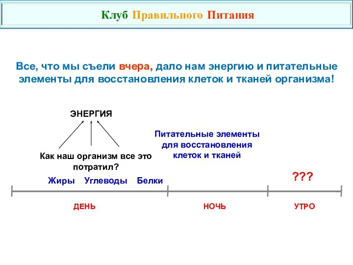 Все, что мы съели вчера, дало нам энергию и питательные