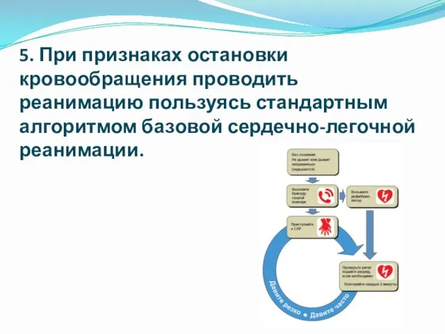 5. При признаках остановки кровообращения проводить реанимацию пользуясь стандартным алгоритмом базовой сердечно-легочной реанимации.