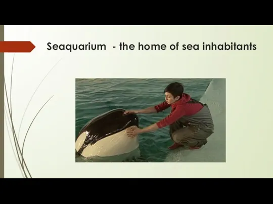 Seaquarium - the home of sea inhabitants