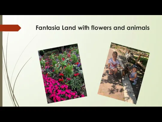 Fantasia Land with flowers and animals