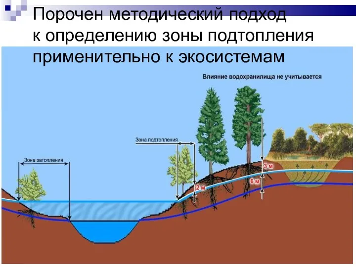 Порочен методический подход к определению зоны подтопления применительно к экосистемам