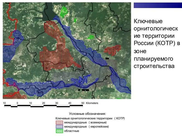 Ключевые орнитологические территории России (КОТР) в зоне планируемого строительства