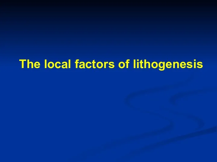 The local factors of lithogenesis