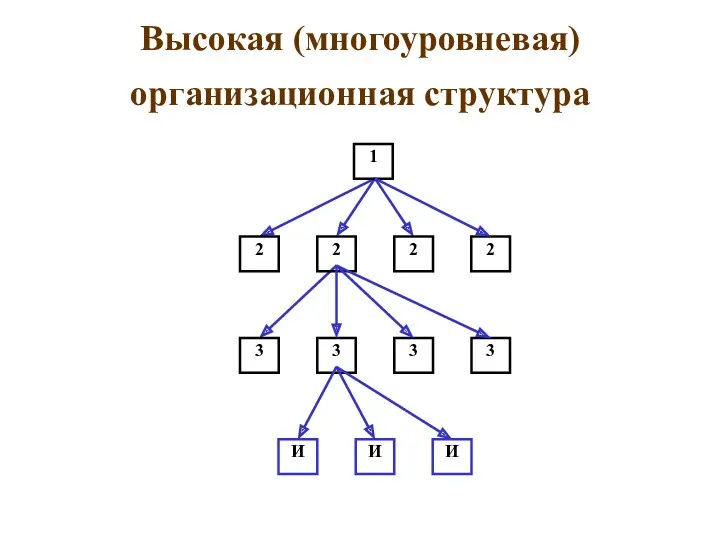 Высокая (многоуровневая) организационная структура