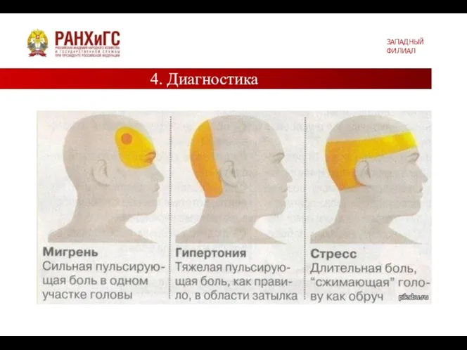 ЗАПАДНЫЙ ФИЛИАЛ 4. Диагностика