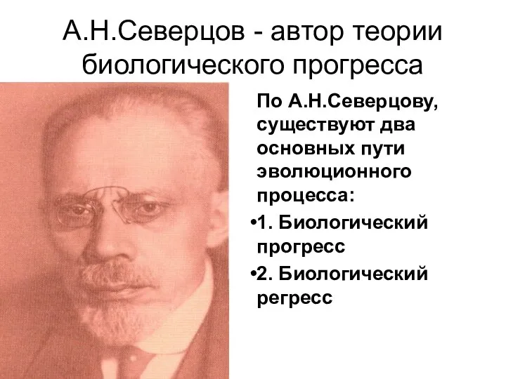 А.Н.Северцов - автор теории биологического прогресса По А.Н.Северцову, существуют два