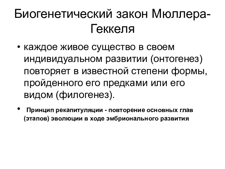 Биогенетический закон Мюллера-Геккеля каждое живое существо в своем индивидуальном развитии