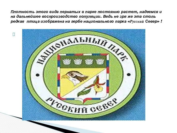 Плотность этого вида пернатых в парке постоянно растет, надеемся и