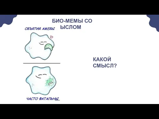 БИО-МЕМЫ СО СМЫСЛОМ КАКОЙ СМЫСЛ?