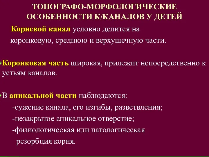 ТОПОГРАФО-МОРФОЛОГИЧЕСКИЕ ОСОБЕННОСТИ К/КАНАЛОВ У ДЕТЕЙ Корневой канал условно делится на