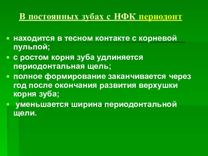 В постоянных зубах с НФК периодонт находится в тесном контакте