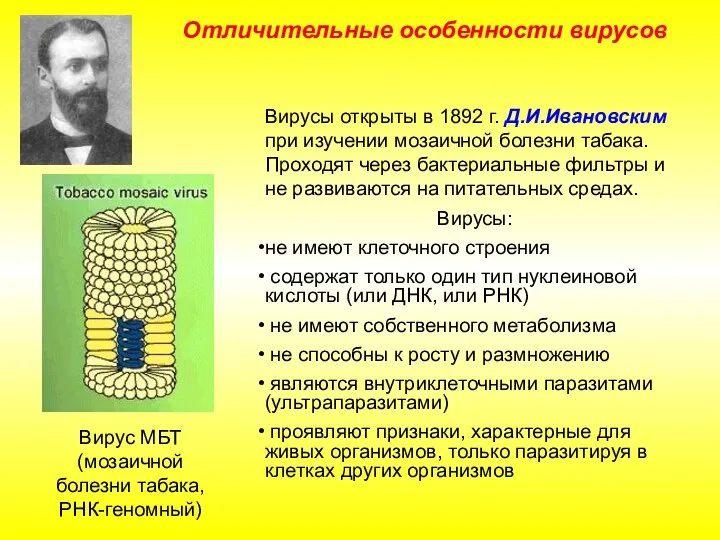 Отличительные особенности вирусов Вирусы открыты в 1892 г. Д.И.Ивановским при