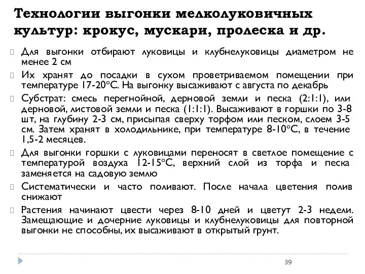 Технологии выгонки мелколуковичных культур: крокус, мускари, пролеска и др. Для