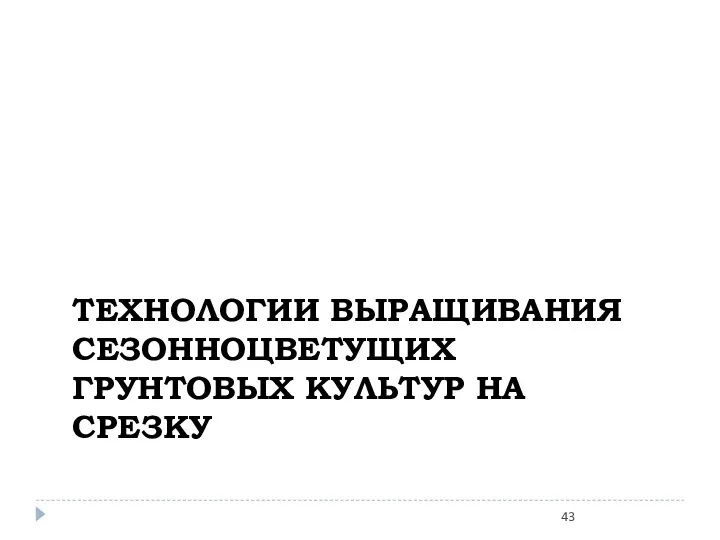 ТЕХНОЛОГИИ ВЫРАЩИВАНИЯ СЕЗОННОЦВЕТУЩИХ ГРУНТОВЫХ КУЛЬТУР НА СРЕЗКУ