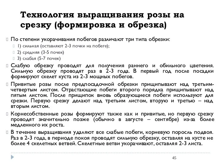 Технология выращивания розы на срезку (формировка и обрезка) По степени