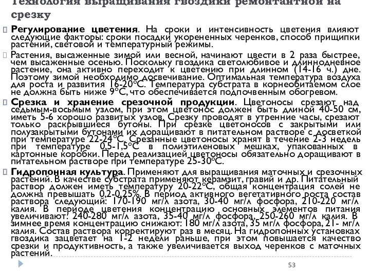 Технология выращивания гвоздики ремонтантной на срезку Регулирование цветения. На сроки