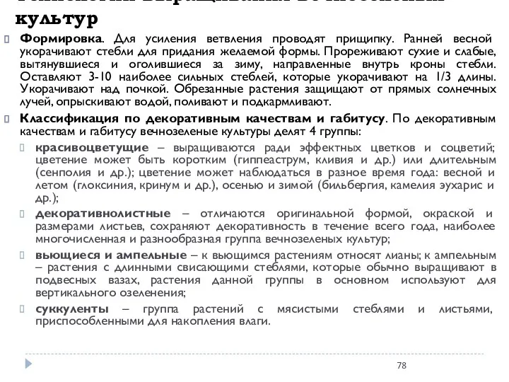 Технологии выращивания вечнозеленых культур Формировка. Для усиления ветвления проводят прищипку.