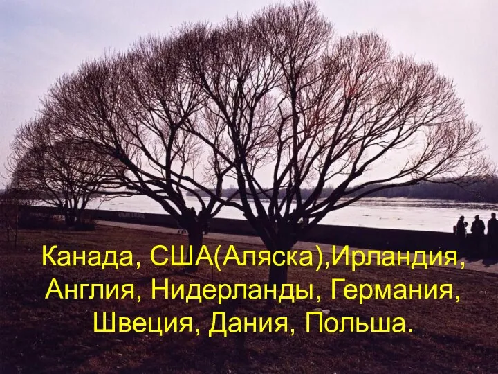 Канада, США(Аляска),Ирландия, Англия, Нидерланды, Германия, Швеция, Дания, Польша.