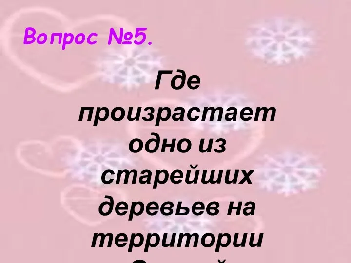 Вопрос №5. Где произрастает одно из старейших деревьев на территории Омской области?