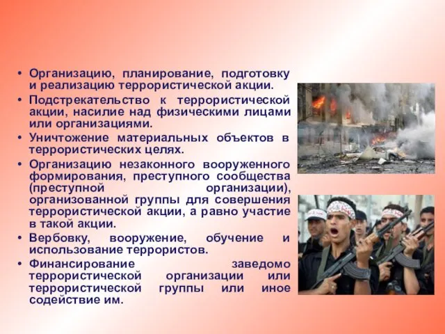 Организацию, планирование, подготовку и реализацию террористической акции. Подстрекательство к террористической