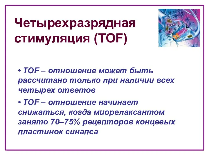 Четырехразрядная стимуляция (TOF) • TOF – отношение может быть рассчитано