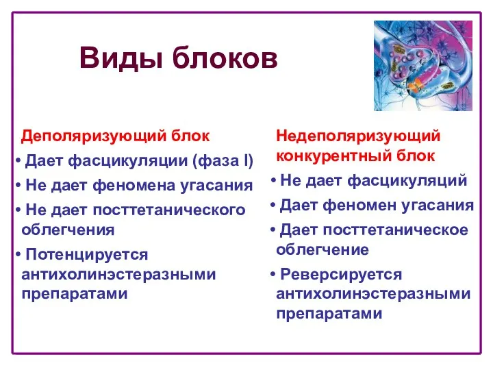 Виды блоков Деполяризующий блок Дает фасцикуляции (фаза I) Не дает