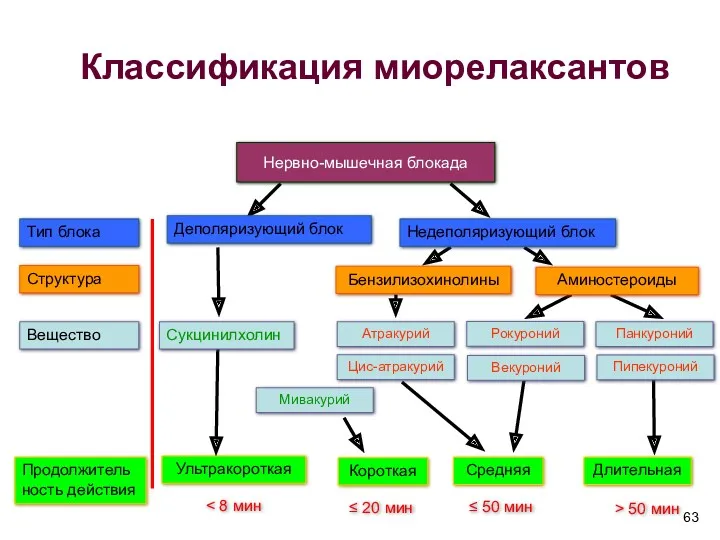 Недеполяризующий блок Деполяризующий блок Ультракороткая Атракурий Бензилизохинолины Средняя Длительная Тип