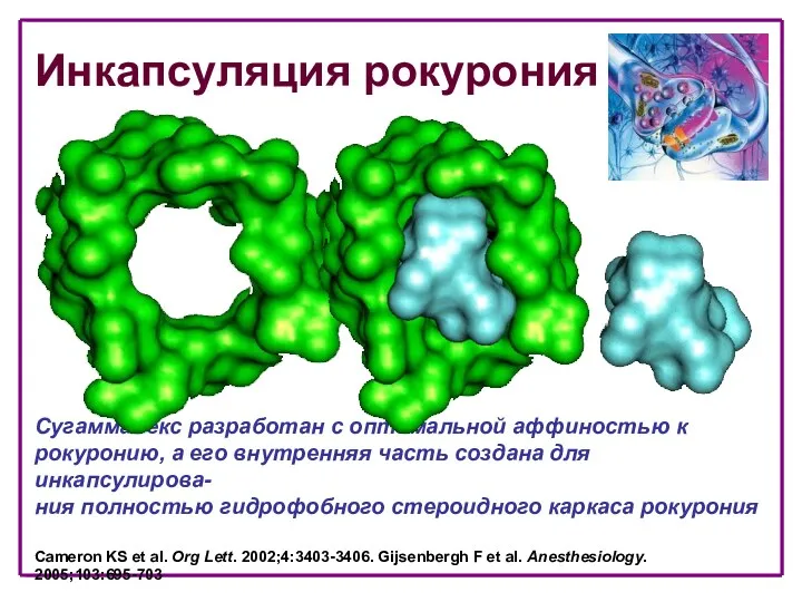 Инкапсуляция рокурония Сугаммадекс разработан с оптимальной аффиностью к рокуронию, а
