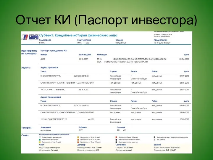 Отчет КИ (Паспорт инвестора)