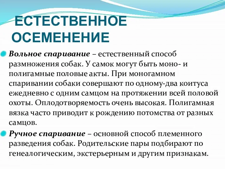 ЕСТЕСТВЕННОЕ ОСЕМЕНЕНИЕ Вольное спаривание – естественный способ размножения собак. У