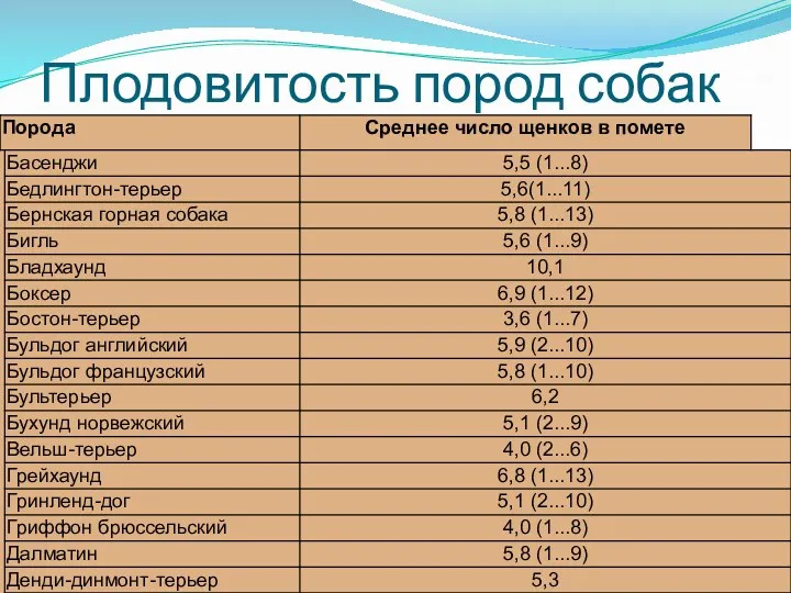 Плодовитость пород собак