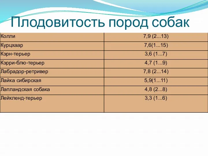 Плодовитость пород собак